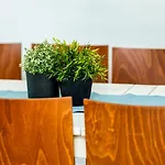 Citystay Okrzei Kamienica W Sopocie * Sopot